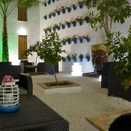 Casa Patio Palmeras 4 *