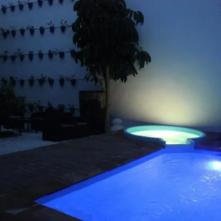 Apartamento Casa Patio Palmeras 4 *