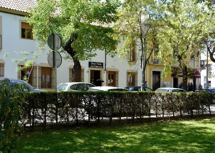 Apartamento Casa Patio Palmeras 7 Y 8 *